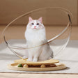 Carvallo - Mjuk kattkorg + leksakfunktion Carvallo