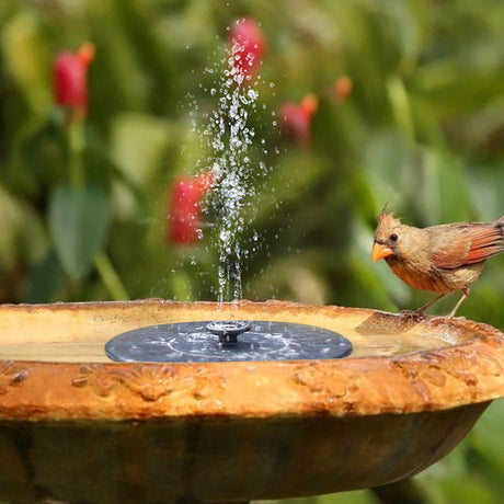 Mini solardriven vattenfontän Carvallo