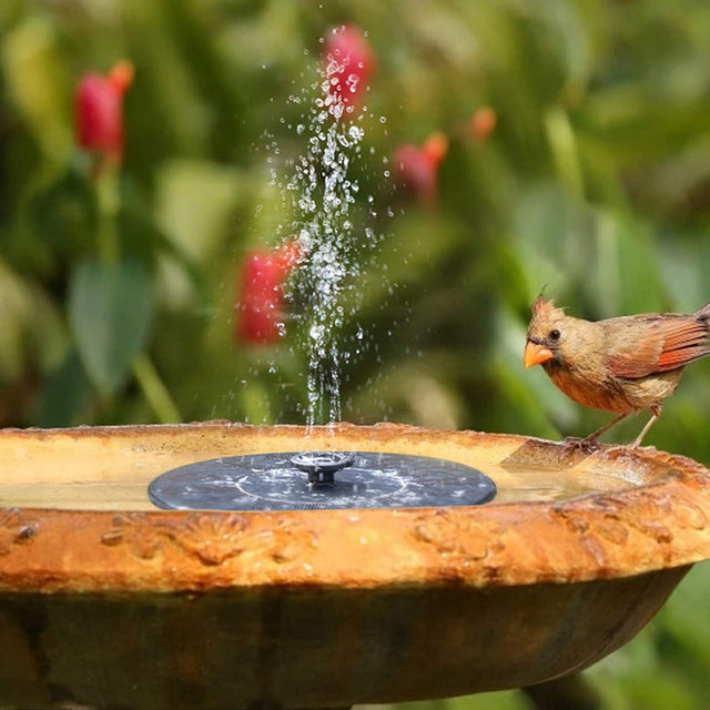 Mini solardriven vattenfontän Carvallo