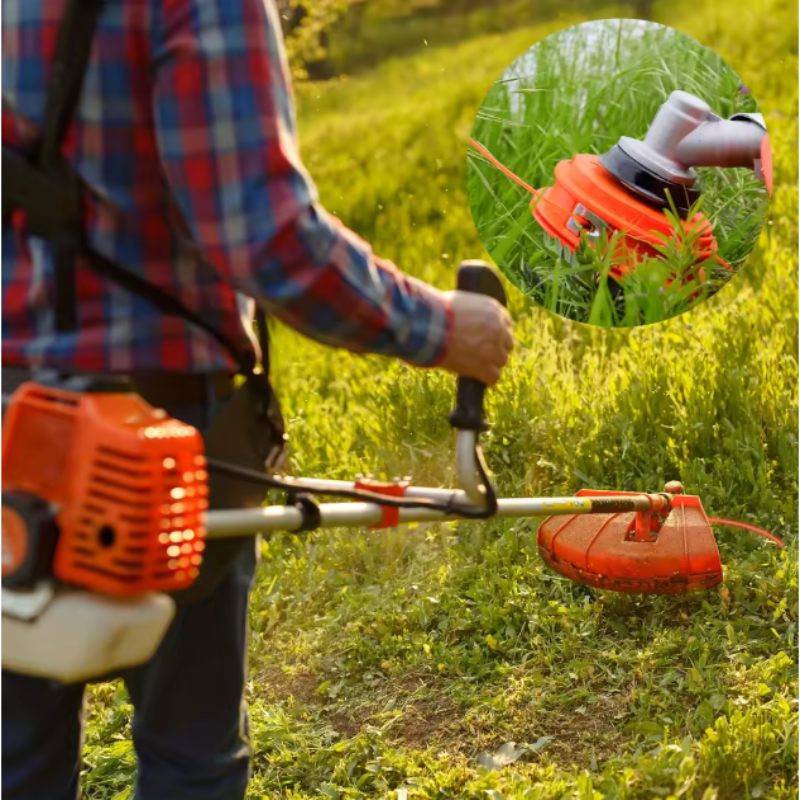 Carvallo – Stark skärning, Inga ansträngningar! Carvallo