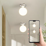 Contemporary Semi-Flush Iron and Glass Ceiling Light MILA Sverige