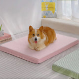 Arctic Breeze Kylande Hundsäng Is Silke Ortopedisk Tvättbar Carvallo