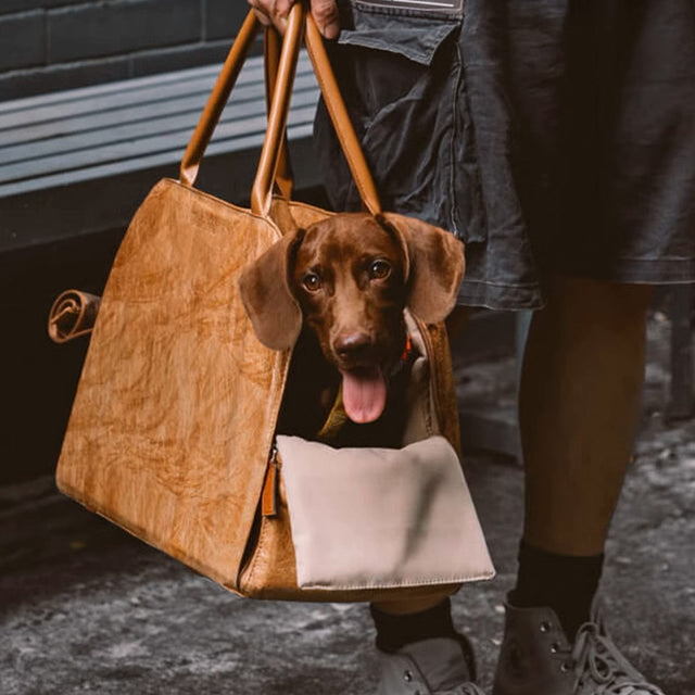 Bärbar Husdjurs Resväska – Lätt, Andningsbar & Säker för Små Husdjur Carvallo