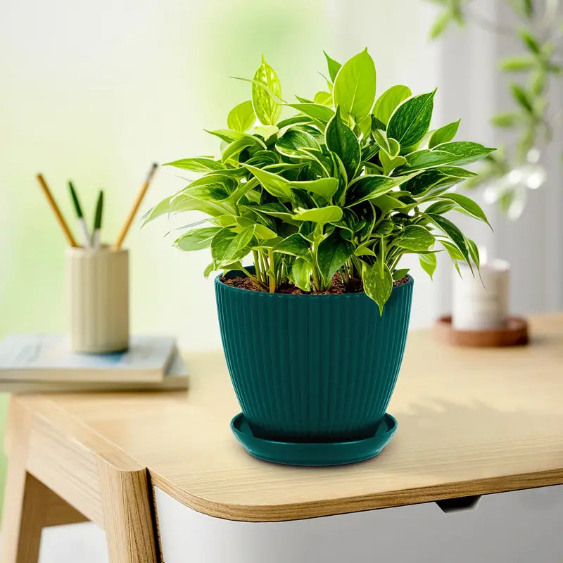 Blomkruka med ribbad struktur och bricka – Stabil plastkruka för växter Carvallo