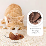 Carvallo | PawChase – Jaga, spela, jaga kul för din katt! Carvallo