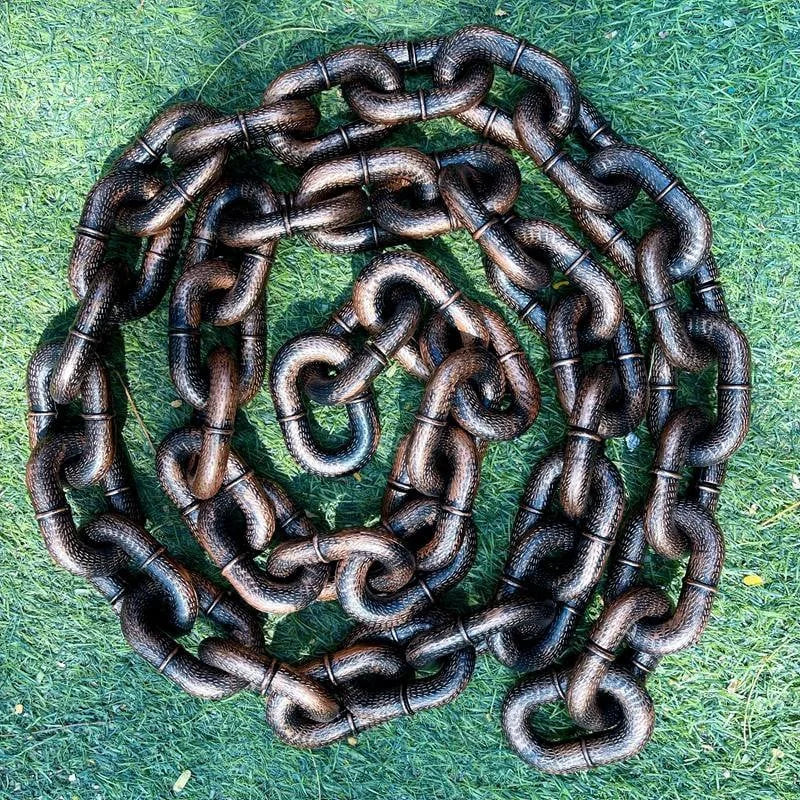 Carvallo - Roligt stort hundhalsband Carvallo