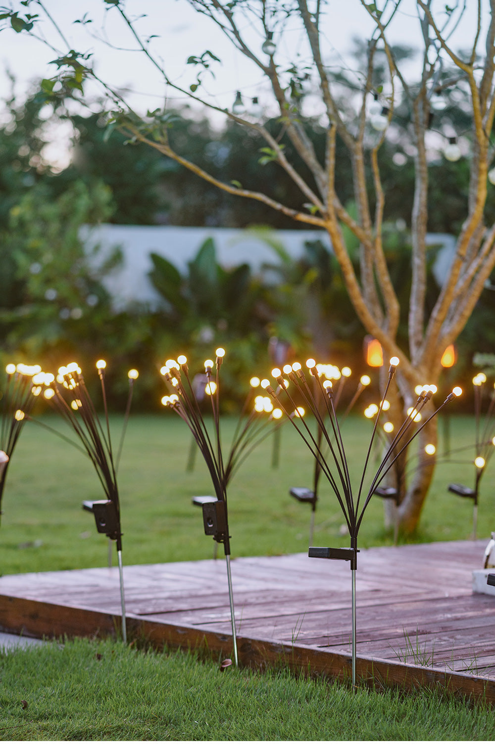 Carvallo - Fängslande Ljusdans Carvallo