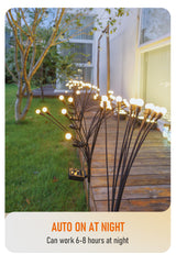 Carvallo - Fängslande Ljusdans Carvallo