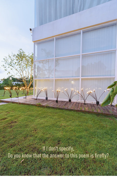 Carvallo - Fängslande Ljusdans Carvallo