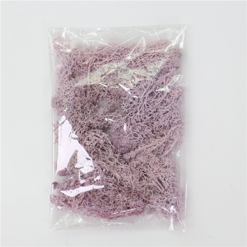 Konstgjord mossa för landskapsdesign – Mossa och blommor för dekoration och floristisk Carvallo