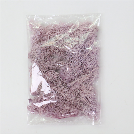 Konstgjord mossa för landskapsdesign – Mossa och blommor för dekoration och floristisk Carvallo