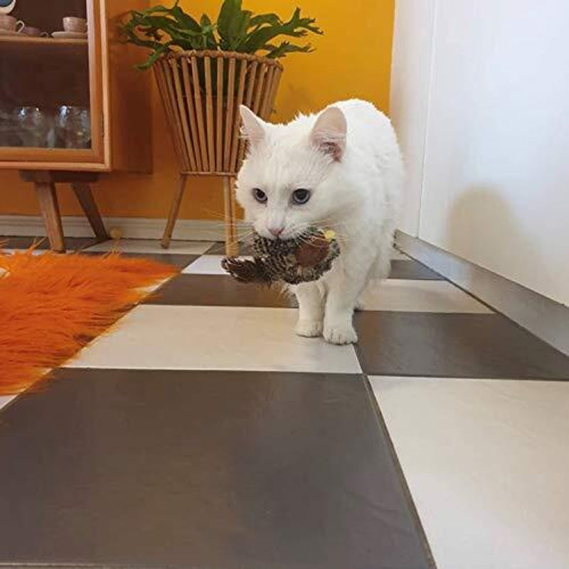 Carvallo - Den säkra leksaken för din katt! Carvallo