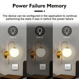 Smart WiFi-Kontakt 16A/20A – Röststyrd Uttagsadapter-Smarta Hem Elkontakt-BB-Hemnix