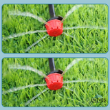 Carvallo – Droppbevattning gjort enkelt (100-pack) Carvallo