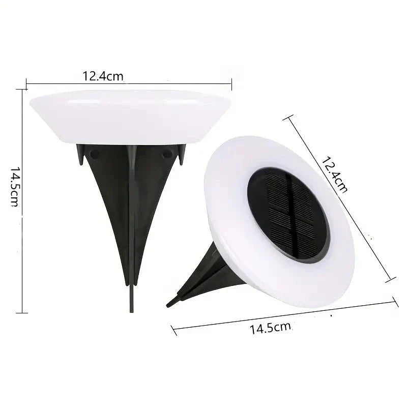 Carvallo - Stiliga sol havljus för obekymrad elegans Carvallo