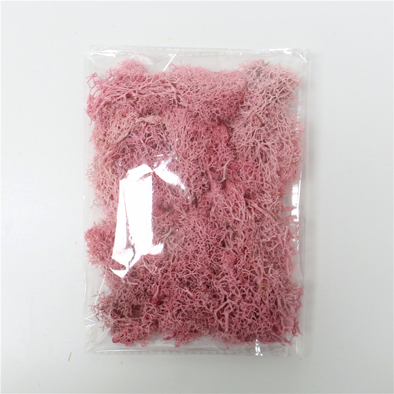 Konstgjord mossa för landskapsdesign – Mossa och blommor för dekoration och floristisk Carvallo