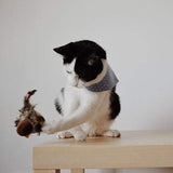 Carvallo - Den säkra leksaken för din katt! Carvallo