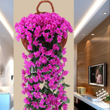 Carvallo – Naturlig elegans, ständigt fräsch [Sista dagen rabatt] Carvallo