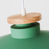 Hänglampa i färgglad metallfinish Carvallo