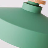 Hänglampa i färgglad metallfinish Carvallo