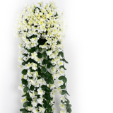 Carvallo – Naturlig elegans, ständigt fräsch [Sista dagen rabatt] Carvallo