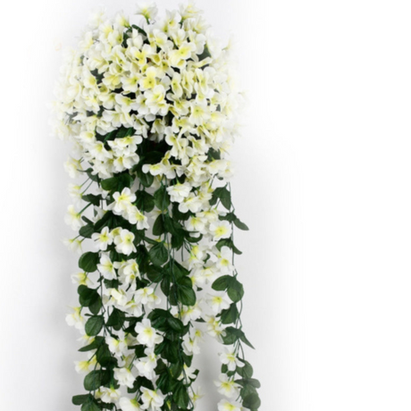 Carvallo – Naturlig elegans, ständigt fräsch [Sista dagen rabatt] Carvallo