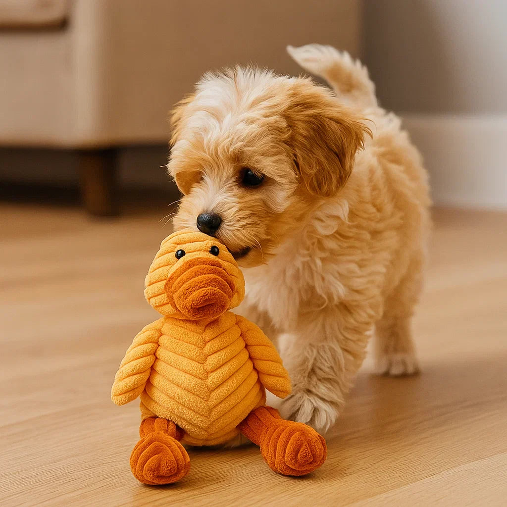 Hundleksak Pluffig Squeaky Tuggedyr Carvallo