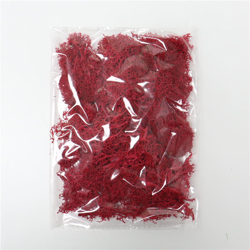 Konstgjord mossa för landskapsdesign – Mossa och blommor för dekoration och floristisk Carvallo