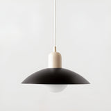 Pendellampa i Bauhaus-stil – Färgglad design för matrum och kök Carvallo