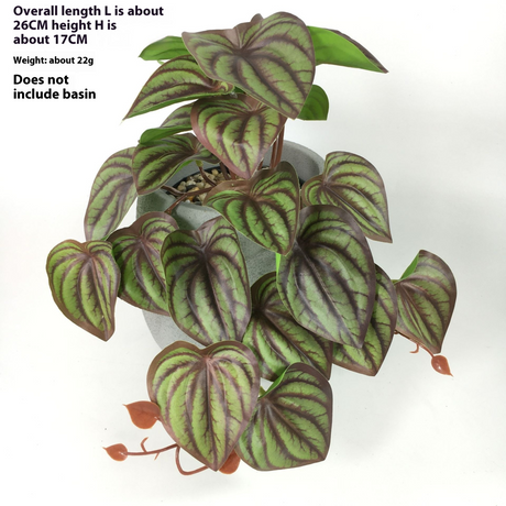 Kunstgjord hängväxt för naturlig dekoration inomhus och utomhus Carvallo