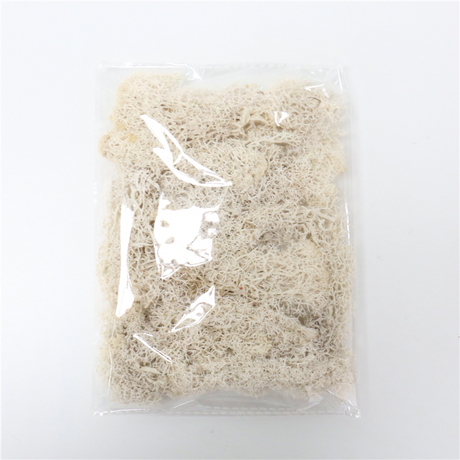 Konstgjord mossa för landskapsdesign – Mossa och blommor för dekoration och floristisk Carvallo