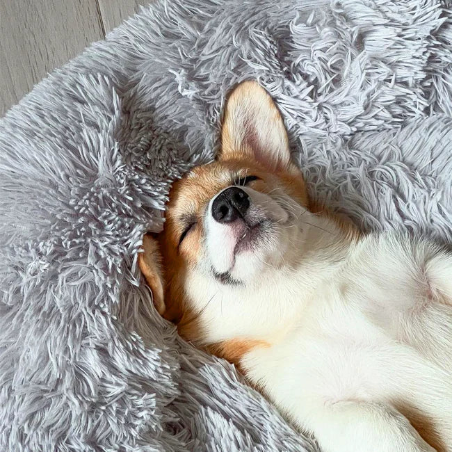 Ortopedisk Plush Donut Hundsäng Carvallo