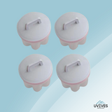 Carvallo | ShapeLuxe – Din frukostkonst på ett ögonblick! Carvallo