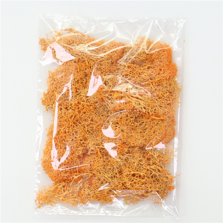 Konstgjord mossa för landskapsdesign – Mossa och blommor för dekoration och floristisk Carvallo