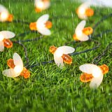 Solar ljusslinga bi – LED dekoration belysning för trädgård & terrass, utomhusbelysning med bidesign Carvallo