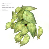 Kunstgjord hängväxt för naturlig dekoration inomhus och utomhus Carvallo