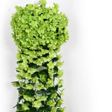 Carvallo – Naturlig elegans, ständigt fräsch [Sista dagen rabatt] Carvallo