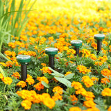 Carvallo | EcoRay – Sluta med skadedjur tack vare solkraft Carvallo