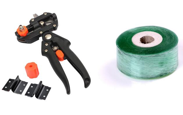 Förädling sax för trädgård – Precisa skärverktyg för ympning och förädling av växter Carvallo