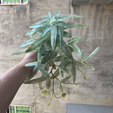 Kunstgjord hängväxt för naturlig dekoration inomhus och utomhus Carvallo