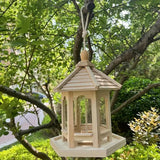 Carvallo DIY Fågelhus | Hängande Träfågelhus att Måla | Dekorativt & Miljövänligt | För Inomhus & Utomhus Carvallo