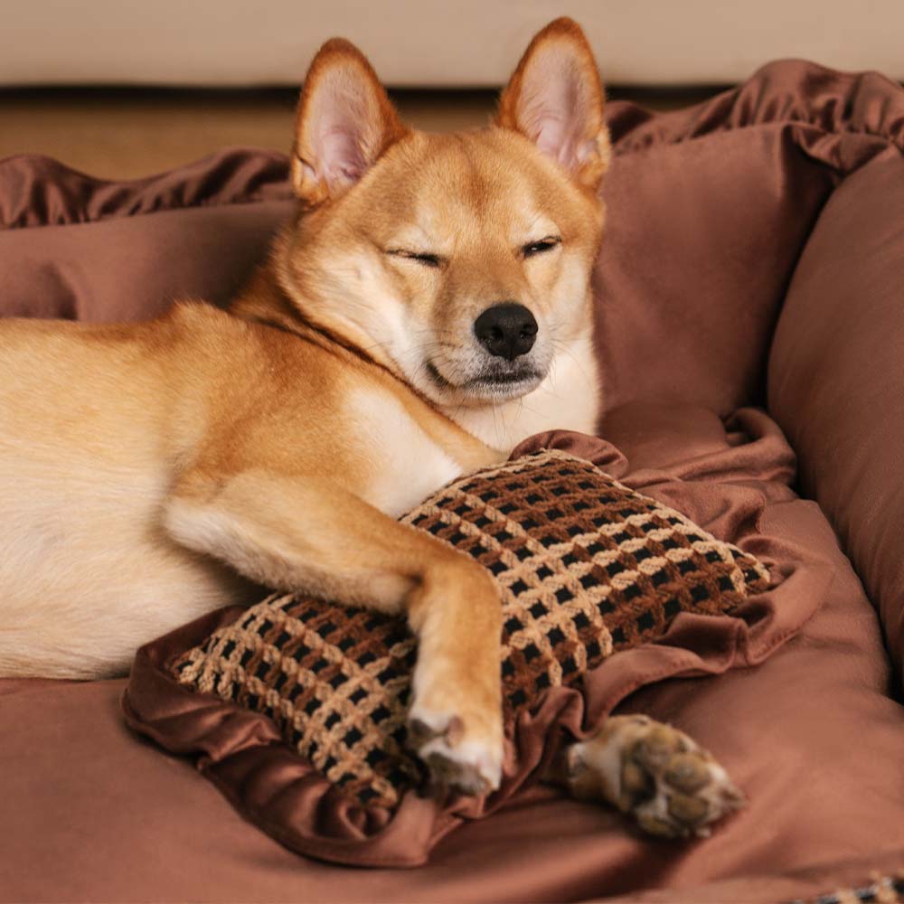 Bliss Bolster Ortopedisk Hundsäng Sammet Skum Stödjande Design Carvallo