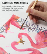 Carvallo - Precisa och exakta linjer Carvallo