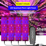 LED Quantum Växtbelysning Panel för tillväxt och färgfrämjande – Med justerbart ljusläge Carvallo