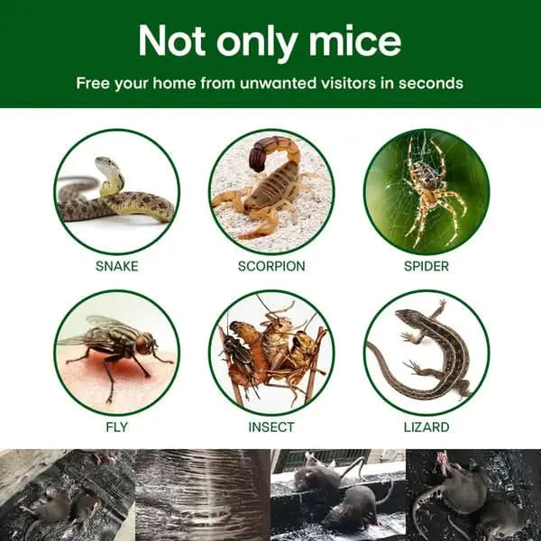 Carvallo – Giftfria klisterfällor mot skadedjur Carvallo