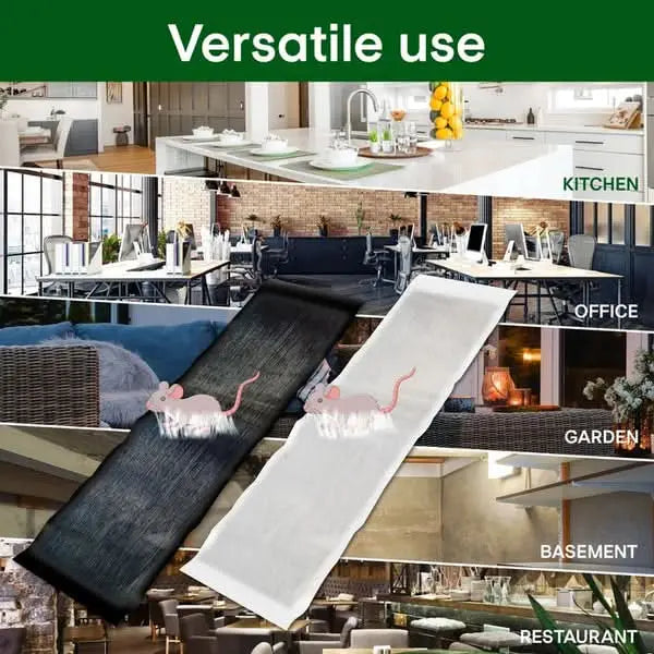 Carvallo – Giftfria klisterfällor mot skadedjur Carvallo