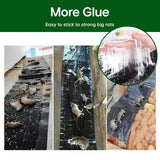 Carvallo – Giftfria klisterfällor mot skadedjur Carvallo