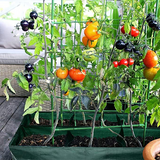 Plantisäck med flera fack – Robust trädgårdsförvaring för växter och örter Carvallo