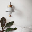 Vägglampa Modern Färgglad Metall Globskärm Carvallo