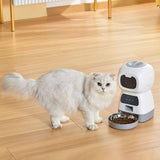 Röstinspelaning Automatisk Pet Feeder-Animals-Bellasverige-Hemnix